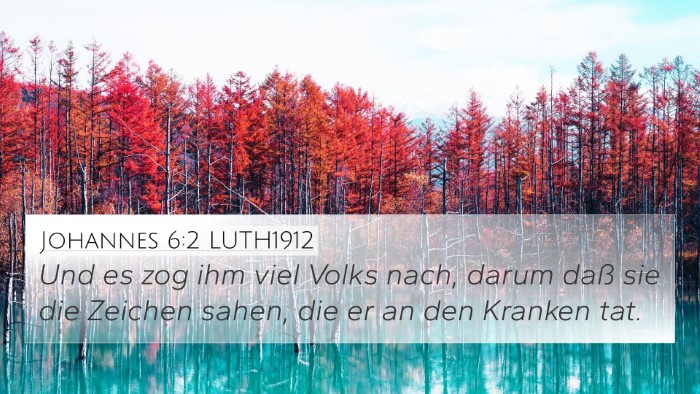 Johannes 6:2 LUTH1912 Bible Verse Image
