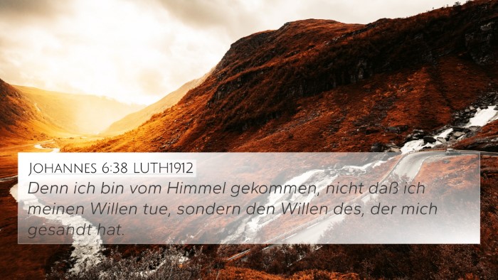 Johannes 6:38 LUTH1912 Bible Verse Image