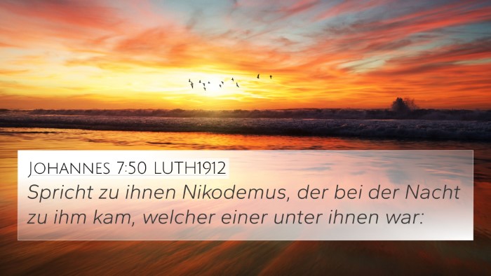 Johannes 7:50 LUTH1912 Bible Verse Image