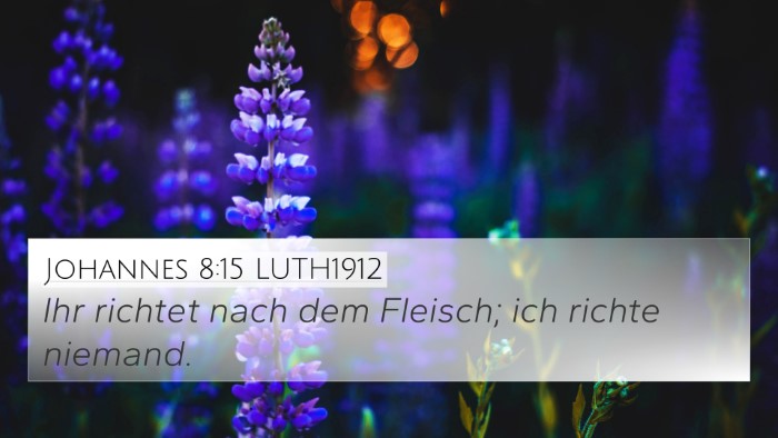 Johannes 8:15 LUTH1912 Bible Verse Image