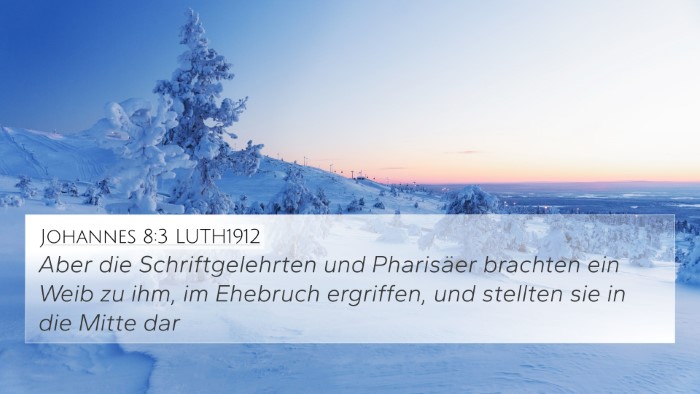 Johannes 8:3 LUTH1912 Bible Verse Image