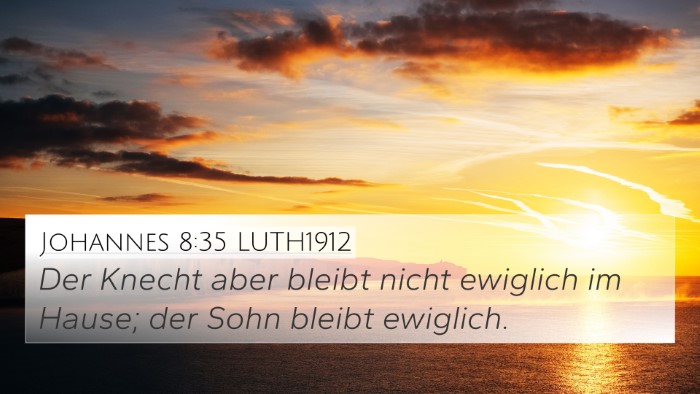 Johannes 8:35 LUTH1912 Bible Verse Image