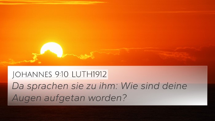 Johannes 9:10 LUTH1912 Bible Verse Image