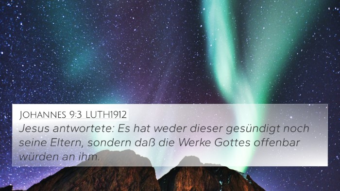 Johannes 9:3 LUTH1912 Bible Verse Image