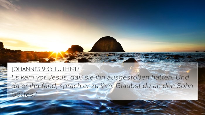 Johannes 9:35 LUTH1912 Bible Verse Image