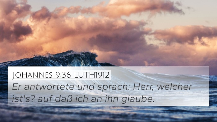 Johannes 9:36 LUTH1912 Bible Verse Image