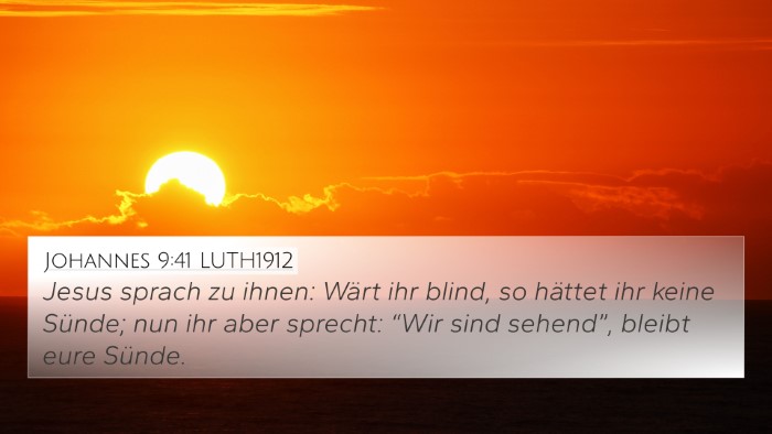 Johannes 9:41 LUTH1912 Bible Verse Image