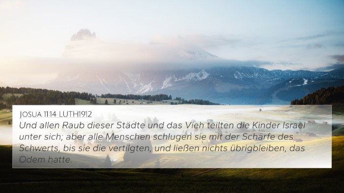 Josua 11:14 LUTH1912 Bible Verse Image