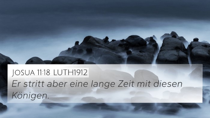 Josua 11:18 LUTH1912 Bible Verse Image