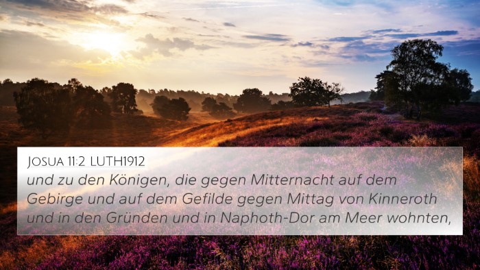 Josua 11:2 LUTH1912 Bible Verse Image