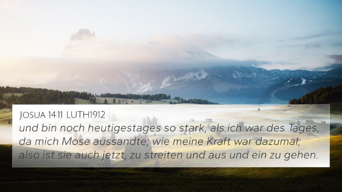 Josua 14:11 LUTH1912 4K Wallpaper - und bin noch heutigestages so stark, als ich war - 4K Wallpaper Bible Verse