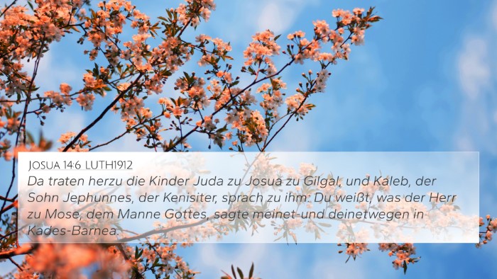 Josua 14:6 LUTH1912 Bible Verse Image