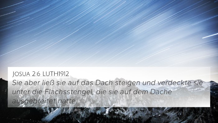 Josua 2:6 LUTH1912 Bible Verse Image