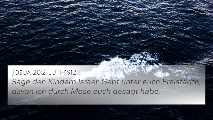 Josua 20:2 LUTH1912 Bible Verse Image