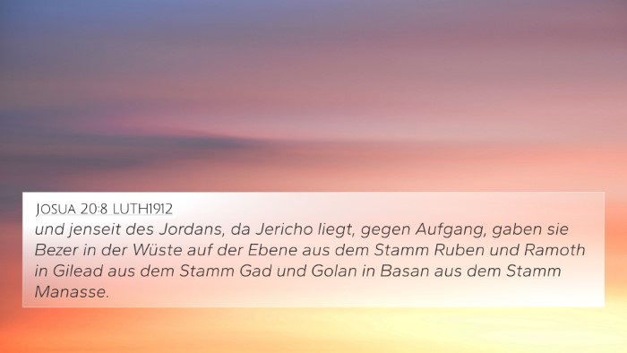 Josua 20:8 LUTH1912 Bible Verse Image