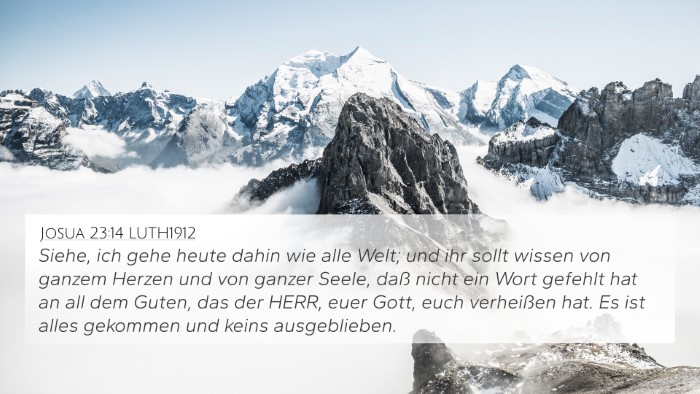 Josua 23:14 LUTH1912 Bible Verse Image