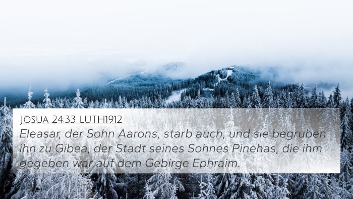 Josua 24:33 LUTH1912 Bible Verse Image