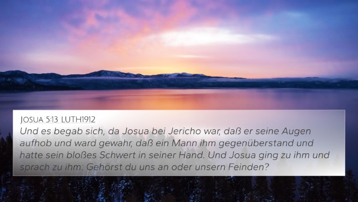 Josua 5:13 LUTH1912 Bible Verse Image