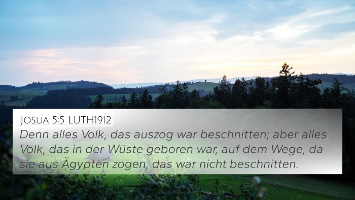 Josua 5:5 LUTH1912 4K Wallpaper - Denn alles Volk, das auszog war beschnitten; aber - 4K Wallpaper Bible Verse