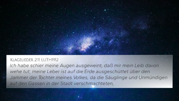 Klagelieder 2:11 LUTH1912 Bible Verse Image