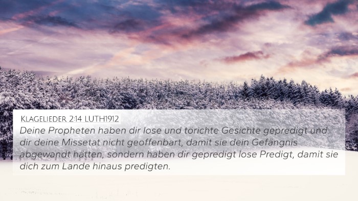Klagelieder 2:14 LUTH1912 Bible Verse Image