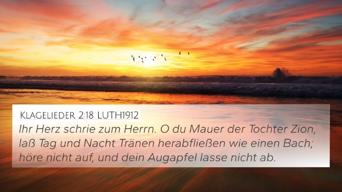Klagelieder 2:18 LUTH1912 Bible Verse Image