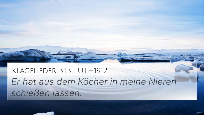 Klagelieder 3:13 LUTH1912 4K Wallpaper - Er hat aus dem Köcher in meine Nieren schießen - 4K Wallpaper Bible Verse