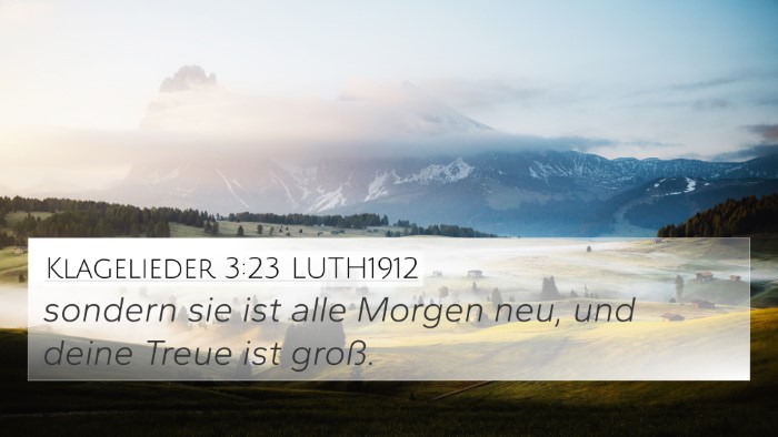 Klagelieder 3:23 LUTH1912 Bible Verse Image