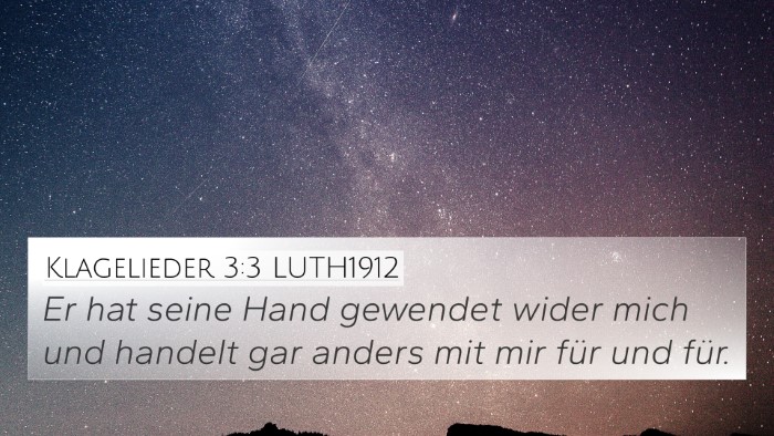 Klagelieder 3:3 LUTH1912 Bible Verse Image