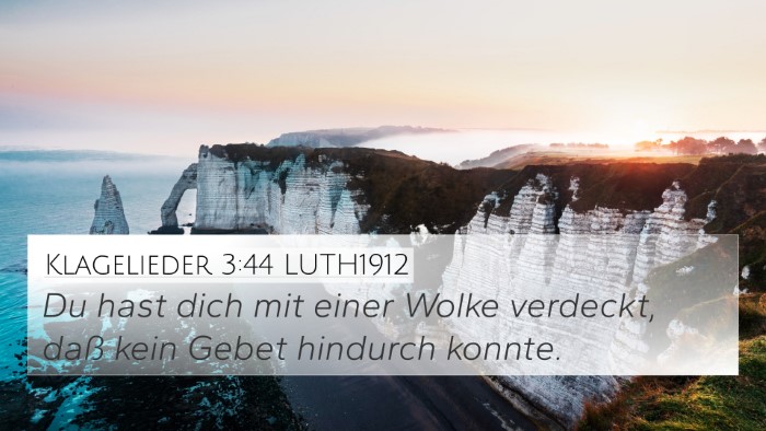 Klagelieder 3:44 LUTH1912 Bible Verse Image