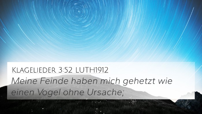 Klagelieder 3:52 LUTH1912 Bible Verse Image