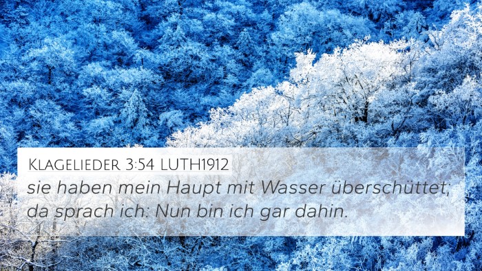 Klagelieder 3:54 LUTH1912 Bible Verse Image
