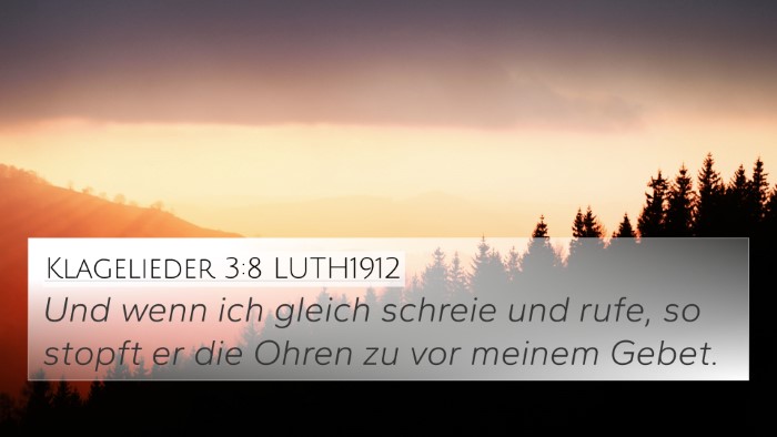 Klagelieder 3:8 LUTH1912 Bible Verse Image