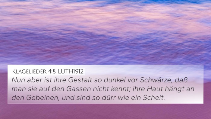 Klagelieder 4:8 LUTH1912 Bible Verse Image