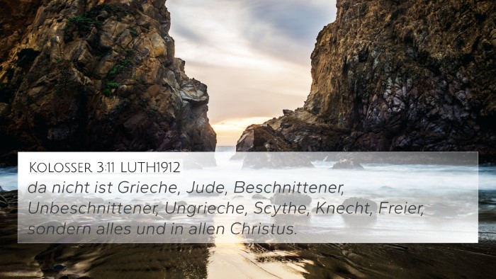 Kolosser 3:11 LUTH1912 Bible Verse Image