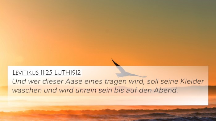 Levitikus 11:25 LUTH1912 Bible Verse Image