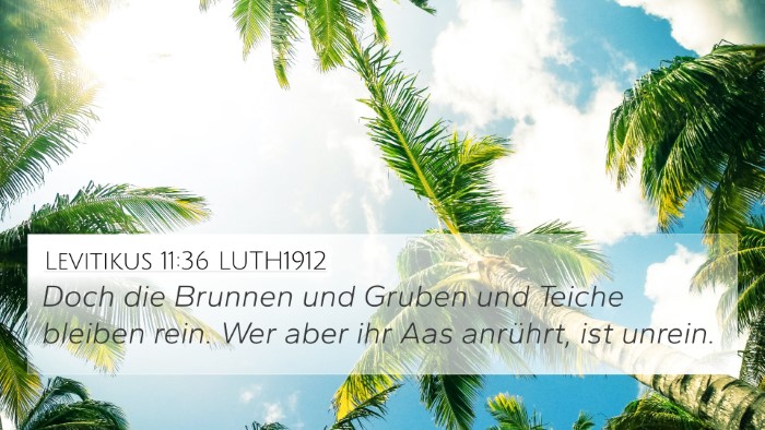 Levitikus 11:36 LUTH1912 4K Wallpaper - Doch die Brunnen und Gruben und Teiche bleiben - 4K Wallpaper Bible Verse