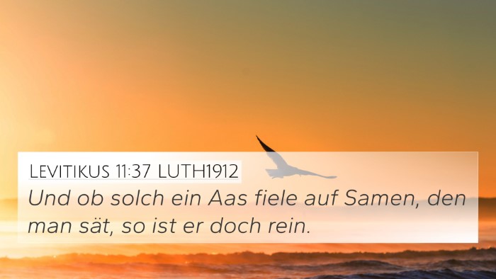 Levitikus 11:37 LUTH1912 4K Wallpaper - Und ob solch ein Aas fiele auf Samen, den man - 4K Wallpaper Bible Verse