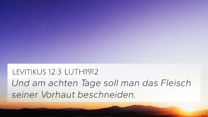 Levitikus 12:3 LUTH1912 Bible Verse Image