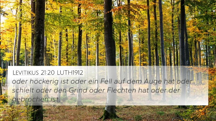 Levitikus 21:20 LUTH1912 Bible Verse Image