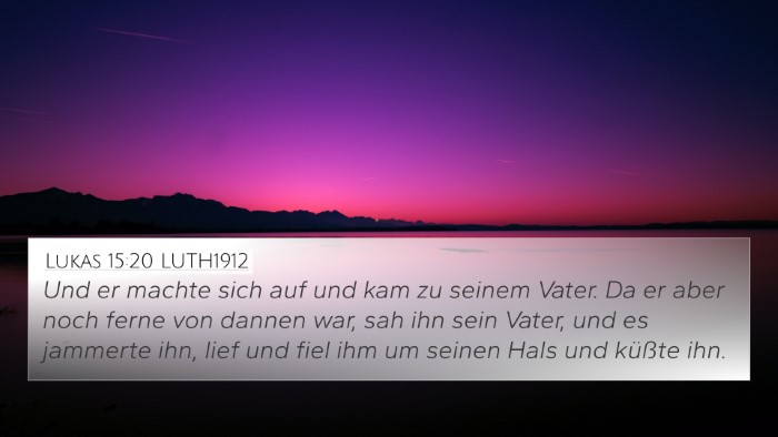 Lukas 15:20 LUTH1912 Bible Verse Image