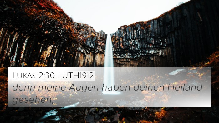 Lukas 2:30 LUTH1912 Bible Verse Image