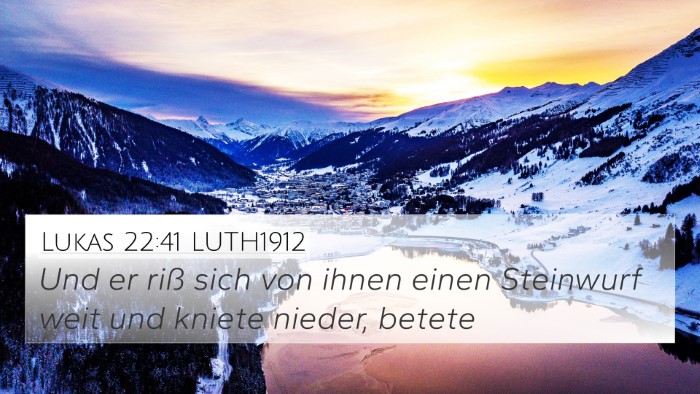 Lukas 22:41 LUTH1912 Bible Verse Image