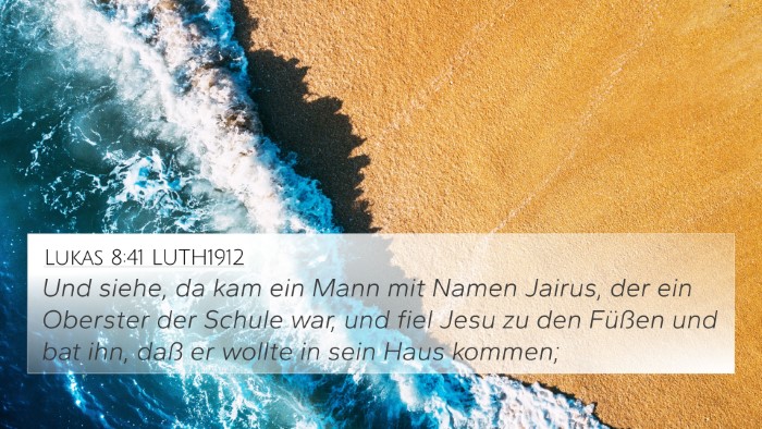 Lukas 8:41 LUTH1912 Bible Verse Image
