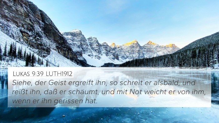 Lukas 9:39 LUTH1912 Bible Verse Image
