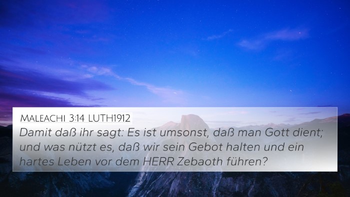 Maleachi 3:14 LUTH1912 Bible Verse Image