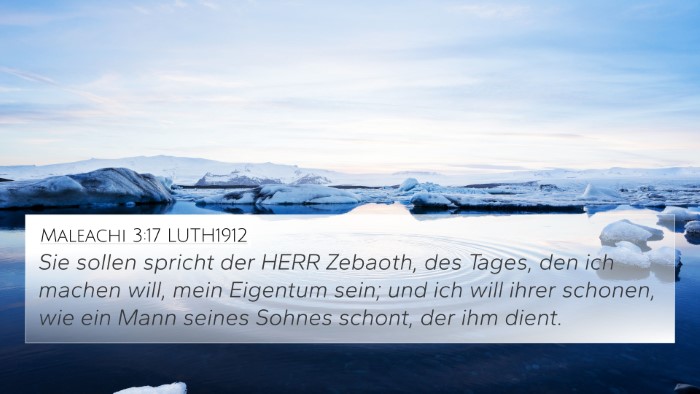 Maleachi 3:17 LUTH1912 Bible Verse Image