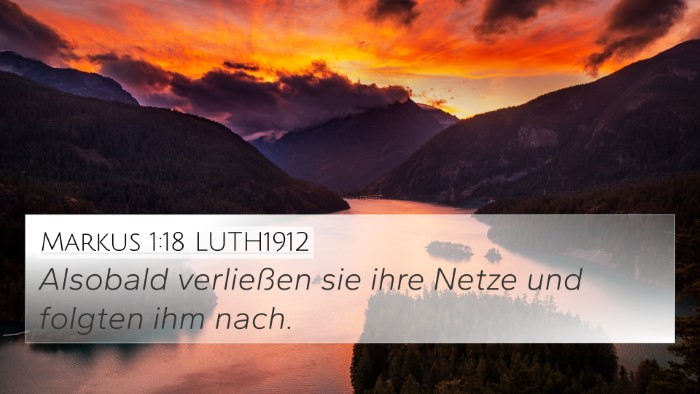Markus 1:18 LUTH1912 4K Wallpaper - Alsobald verließen sie ihre Netze und folgten - 4K Wallpaper Bible Verse