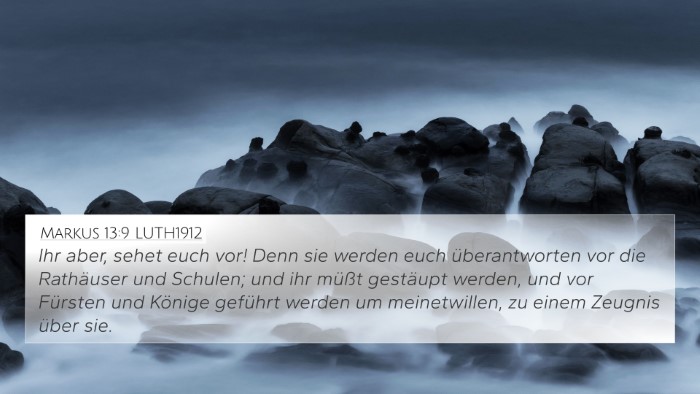Markus 13:9 LUTH1912 Bible Verse Image