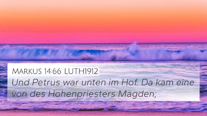 Markus 14:66 LUTH1912 Bible Verse Image